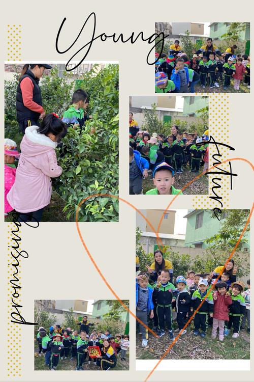 Cậu Bé Chăn Cừu
